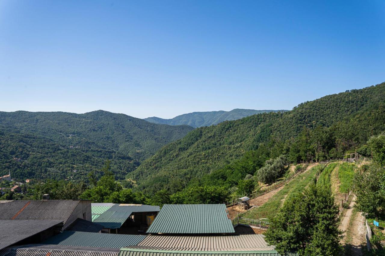 01234 - Agriturismo La Marpea, Esperienza In Mezzo Alla Natura E Al Cibo Tipico Italiano Terisso Exterior foto